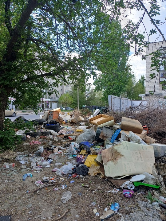 Нам пишут: Улица Триумфальная, Краснооктябрьского района превратилась в одну большую свалку. Куча мусора, сухие ветки ва... в Волжском, 28.04.2025 в 19:00