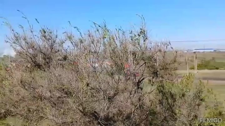 С Днем Победы Сталинград 🎉🎉🎉 Волгоград 🇷🇺🇷🇺🇷🇺 в Волжском, 03.05.2025 в 17:30