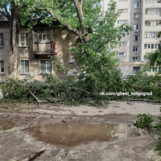 Тракторозаводской район, ул. Салтыкова-Щедрина 13 в Волжском, 21.05.2025 в 18:00