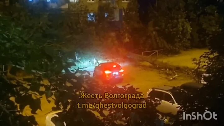 Нам пишут, на ул. Брестская упало дерево, перегородило всю улицу 😔 в Волжском, 26.05.2025 в 22:00