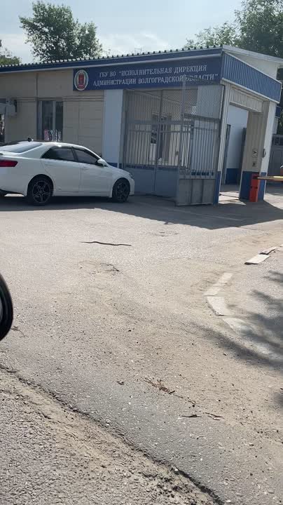 Змея Урсула, она проснулась вчера и ползет на работу) в Волжском, 03.06.2025 в 14:00