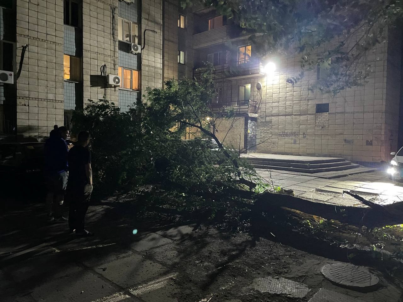 🗣Будьте бдительны, деревья тоже устают, прикладываются. в Волжском, 05.06.2025 в 11:30