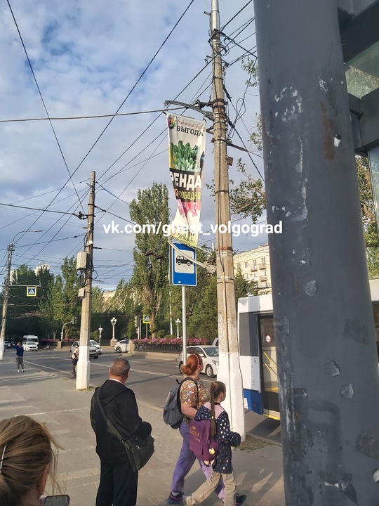 На остановке Порт-Саида у рекламного банера нижнее крепление сорвало, а то ещё верхнее оторвется и на людей упадёт 🙃 в Волжском, 05.06.2025 в 21:30