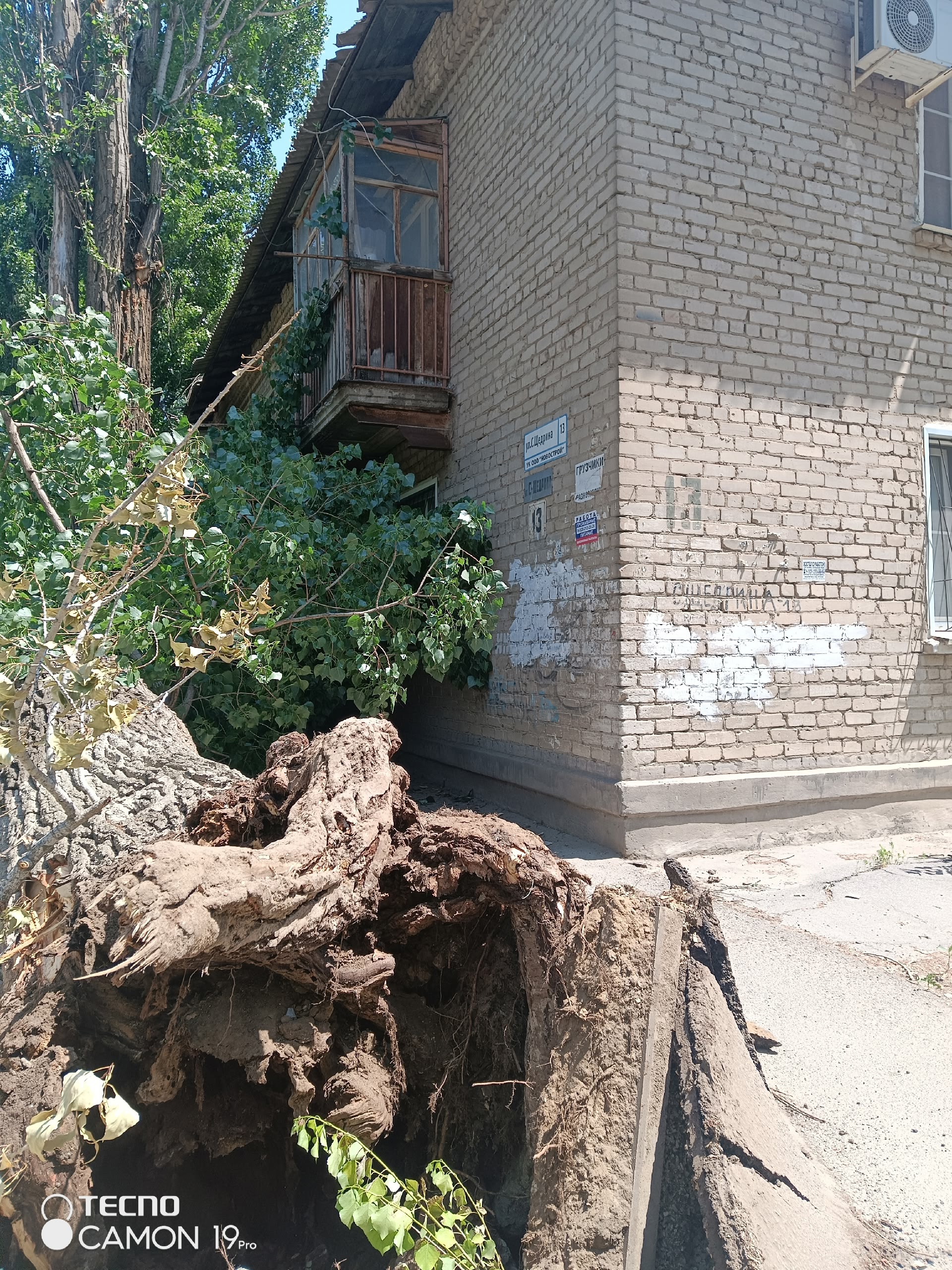 Салтыкова щедрина 13, упало дерево, перекрыло дорогу, водителям на заметку. Днем. в Волжском, 11.06.2025 в 20:00