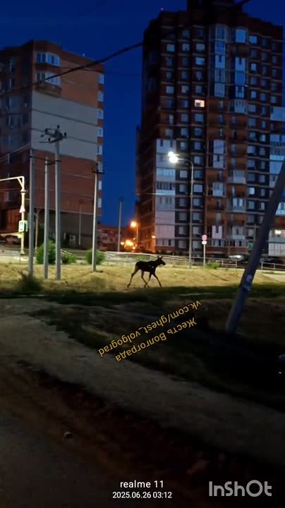 🗣В Кировском районе, никто не терял?! 😳 в Волжском, 26.06.2025 в 08:30