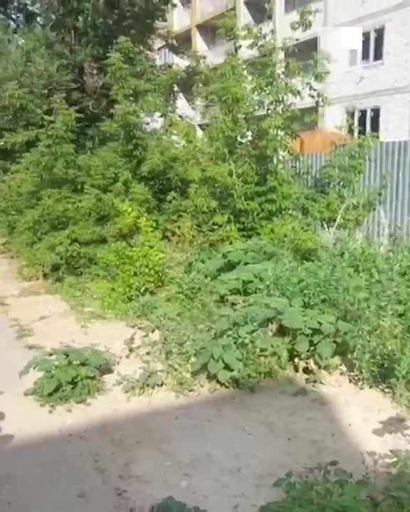 Огромное фекальное озеро, разлившееся на бульваре 30 лет Победы в Дзержинском районе, по словам местных жителей, продолж... в Волжском, 07.07.2025 в 16:30