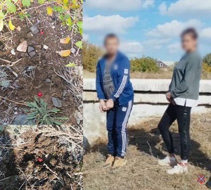 В Волгограде задержали супругов, подозреваемых в сбыте метадона в Волжском, 08.10.2025 в 19:00