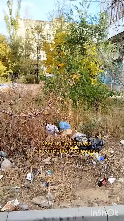 Нам пишут: За стадионом 101-й школы(Жилгородок) в 2х шагах, спортивная школа СДЮШОР 10. в Волжском, 10.10.2025 в 11:30