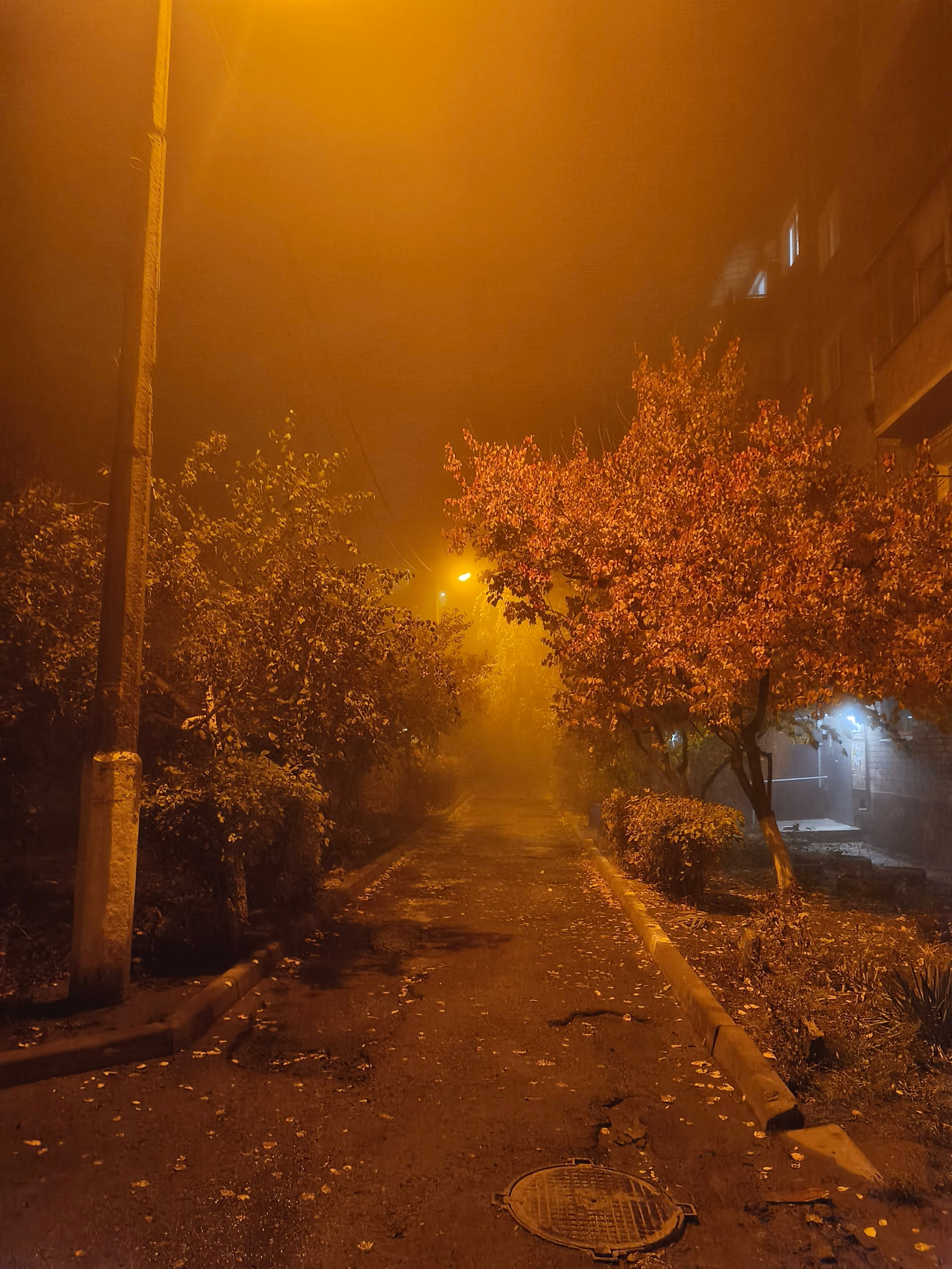 Как Вам туман? в Волжском, 29.10.2025 в 07:30