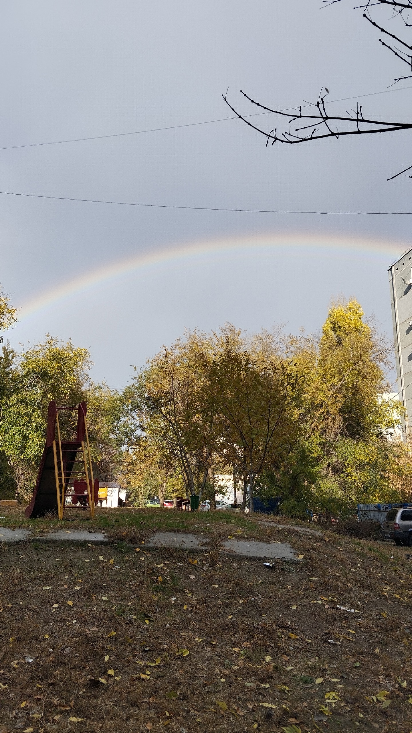 Природная красота Волгограда-Сталинграда. в Волжском, 30.10.2025 в 21:30