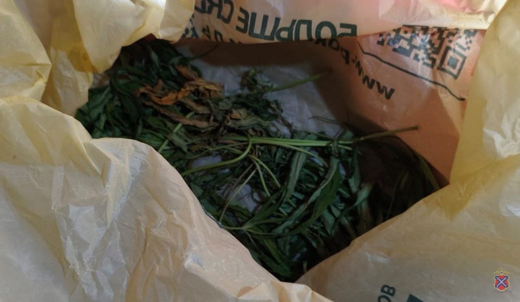 ️ Следователь Суровикинского района завершил расследование уголовного дела в отношении обвиняемого в незаконной культива... в Волжском, 03.11.2025 в 17:00