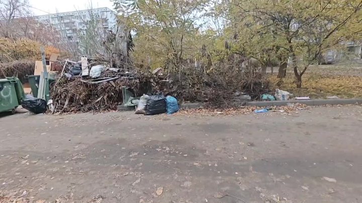 Нам пишут: Быстрова 54, не вывозится мусор уже очень долго... в Волжском, 11.11.2025 в 14:30