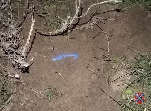 Полицейские задержали подозреваемых в покушении на сбыт наркотиков в Волжском, 03.12.2025 в 09:30