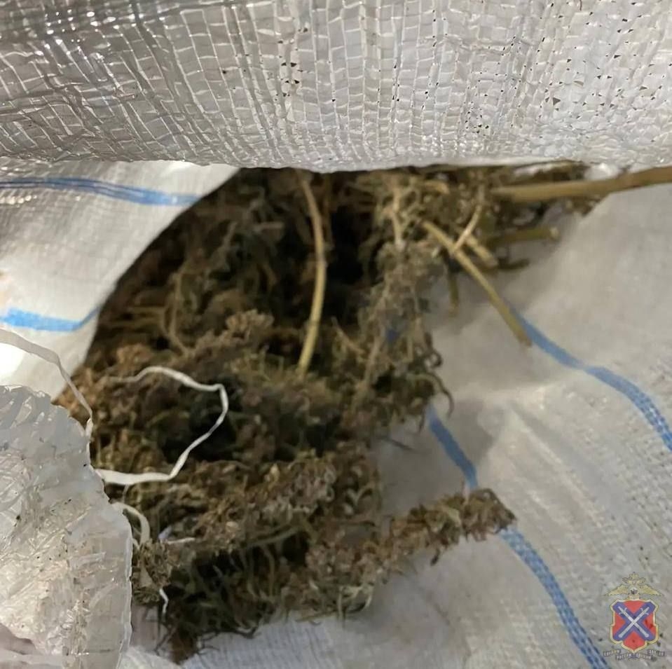 Полицейские Быковского района пресекли незаконное хранение наркотического средства в Волжском, 12.12.2025 в 18:30