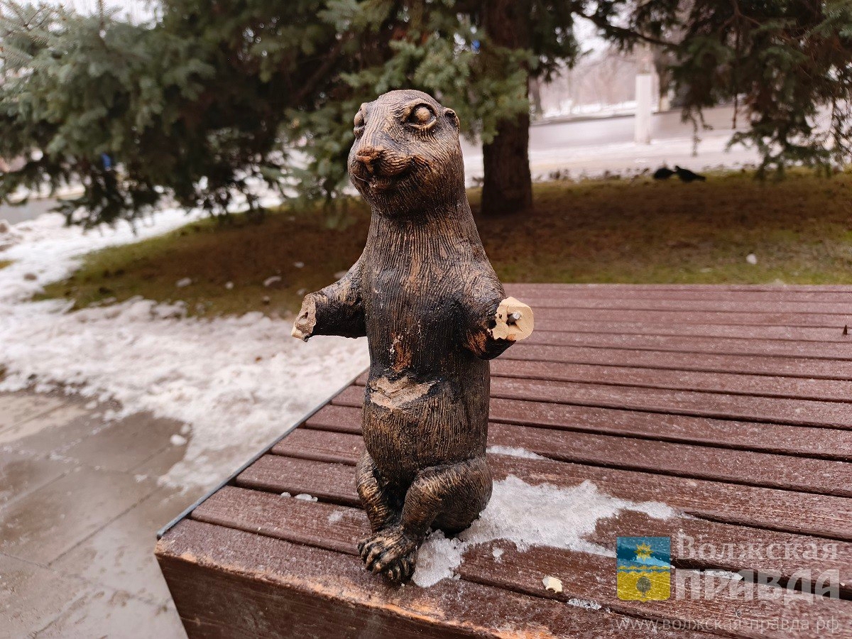 Волжского суслика повредили в Волжском, 14.01.2026 в 09:30