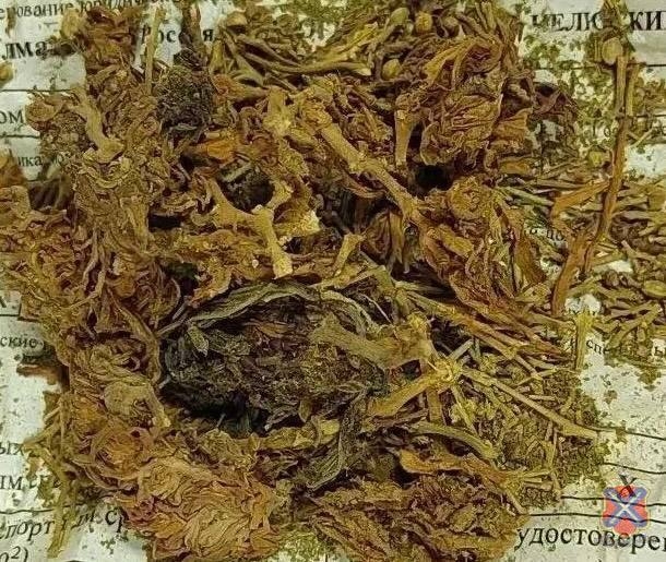 В Дубовском районе оперативники задержали подозреваемого в хранении наркотиков в Волжском, 03.02.2026 в 11:30