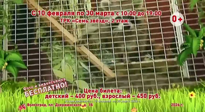 Впервые в Волгограде!  в Волжском, 09.02.2026 в 18:30