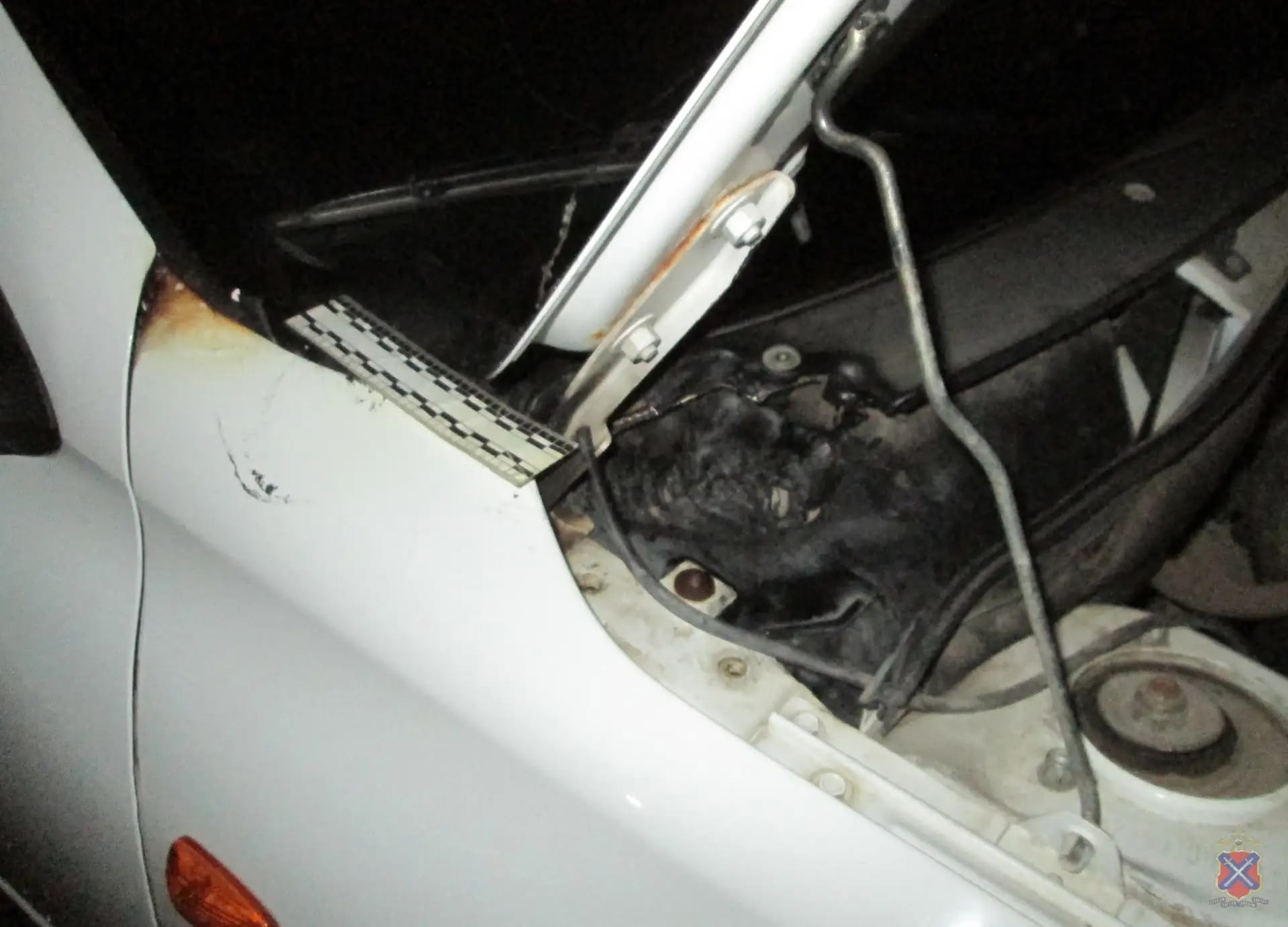 Полицейские Урюпинского района по «горячим следам» задержали подозреваемого в покушении на поджог автомобиля. в Волжском, 23.03.2026 в 15:30