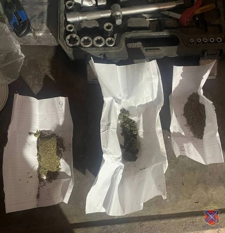 Волгограде задержали мужчину с крупной партией марихуаны в Волжском, 28.03.2026 в 13:30